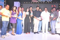 Nuvve Naa Bangaram Movie Audio Launch
